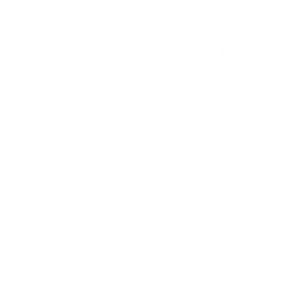 Spring Assist Repair