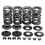 Valve Spring Kits