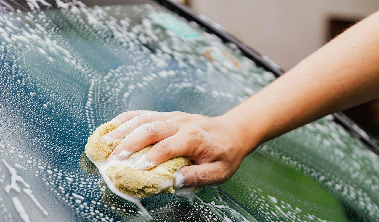 How to Get Bugs Off Your Windshield