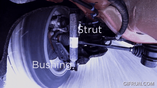 Struts vs. Shocks
