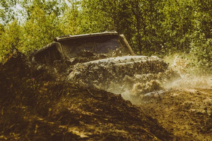 A picture containing tree, outdoor Description automatically generated