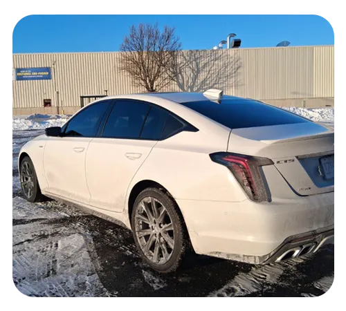 Window Tinting