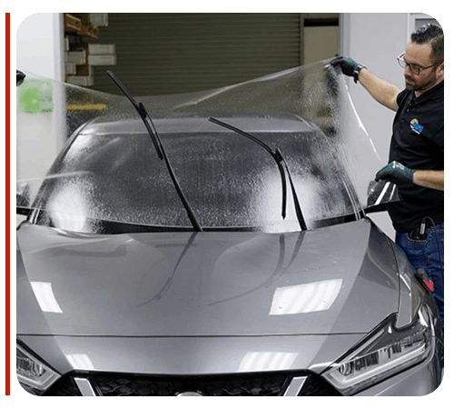 Windshield Protection Film