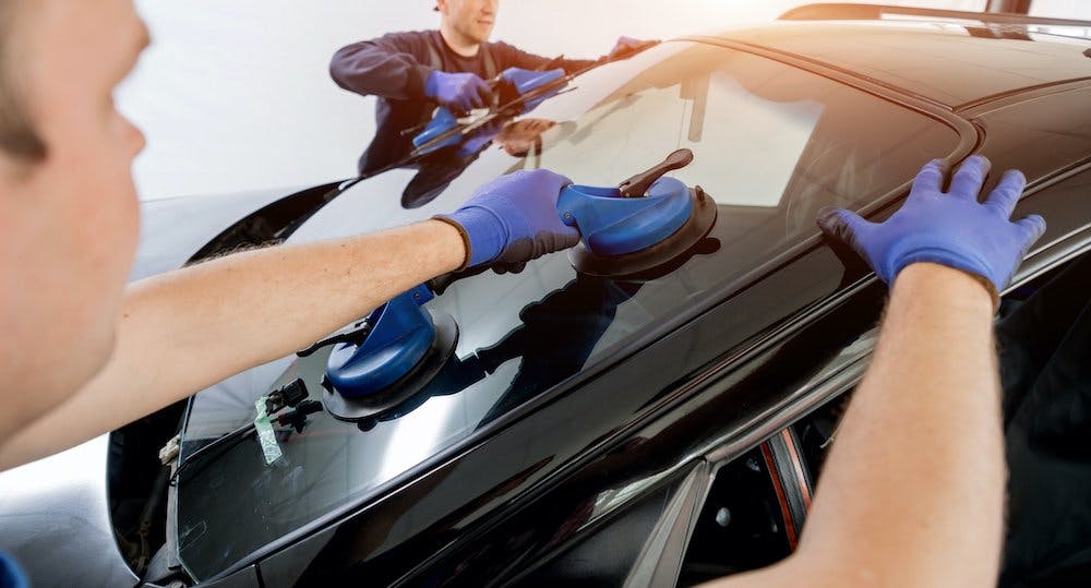 Technician installing a windshield