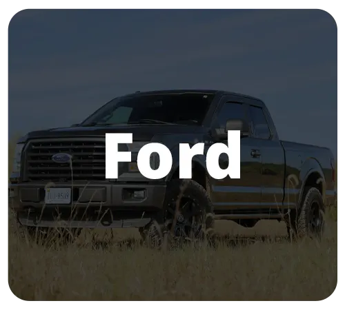 Ford Graphics