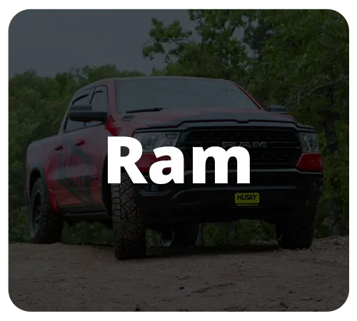 Ram Graphics