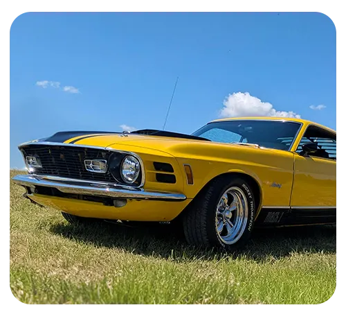 Domestic / Muscle Services