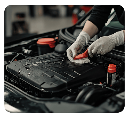 Engine Bay Cleaning