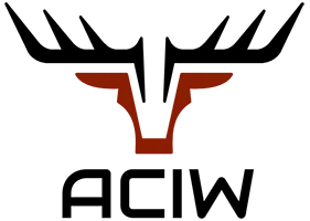 ACIW
